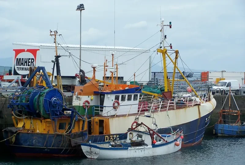 FLEETWOOD LADY General Cargo IMO 7418842