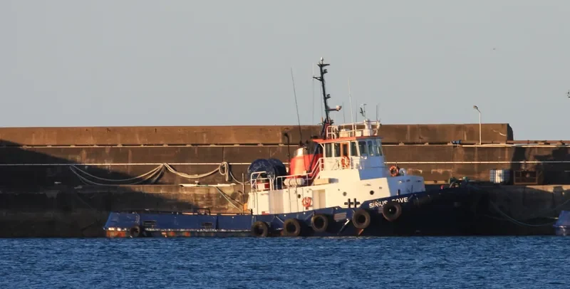 SIRIUS COVE Tug Boat IMO 7418933 photo 7