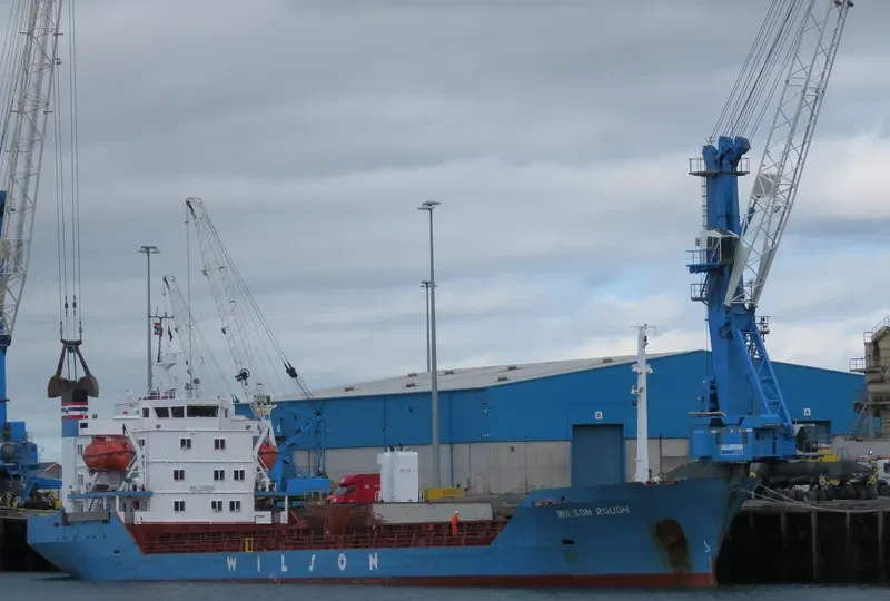 SEA SCANNER Bulk Carrier IMO 7419200 photo 2
