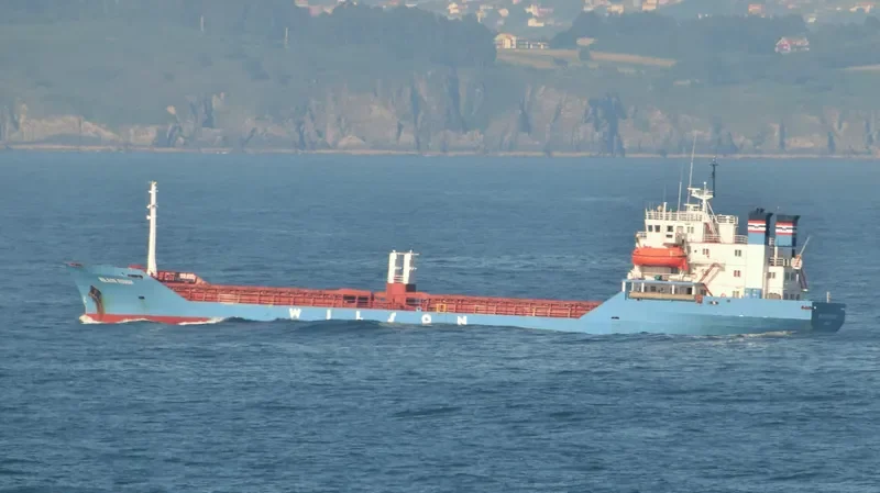 SEA SCANNER Bulk Carrier IMO 7419200 photo 7