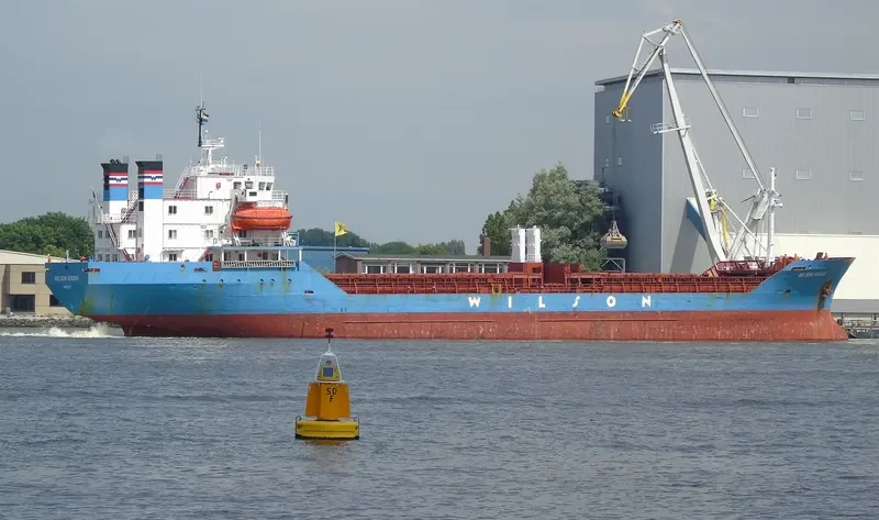 SEA SCANNER Bulk Carrier IMO 7419200 photo 8