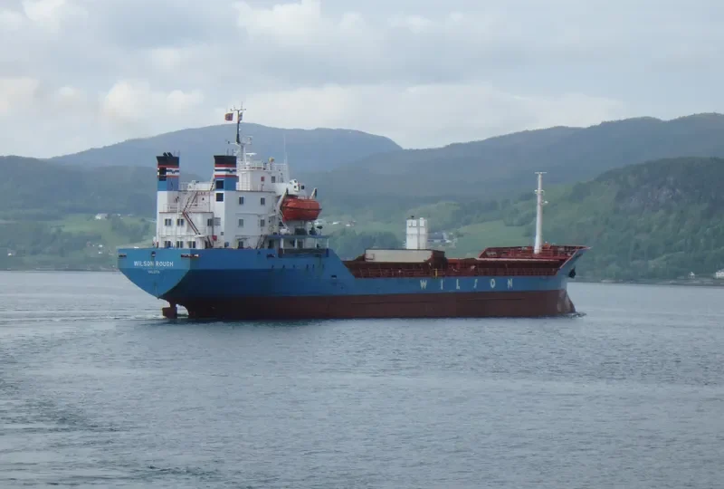 SEA SCANNER Bulk Carrier IMO 7419200 photo 9