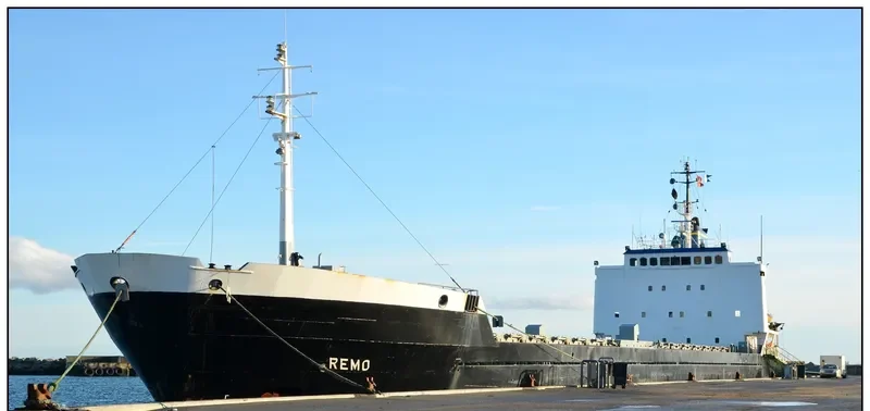 REMO General Cargo IMO 7419365 photo 2