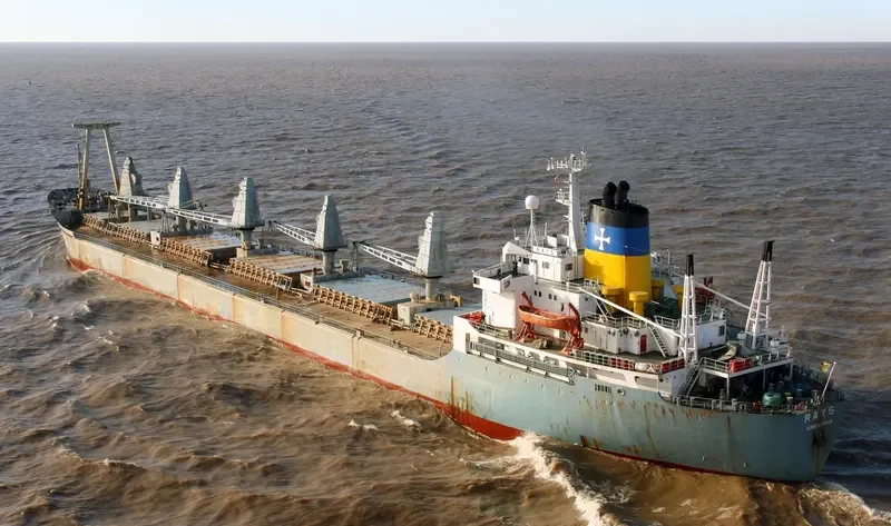 RAKS Bulk Carrier IMO 7419391 photo 2