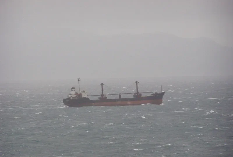 GENI 3 General Cargo IMO 7419420