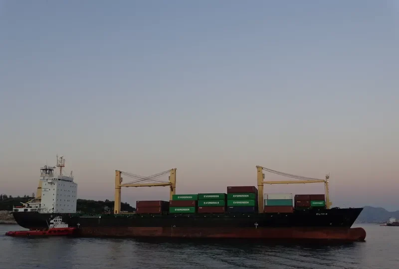 OLIVIA General Cargo IMO 7419597