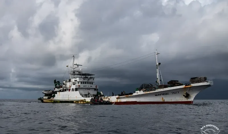 MARINE 707 General Cargo IMO 7419755