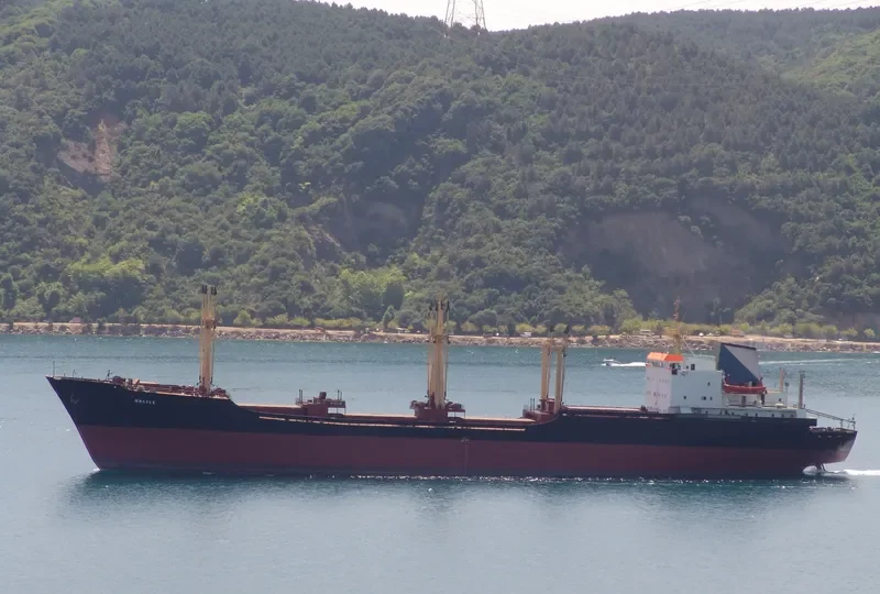 MWAFAK General Cargo IMO 7420039