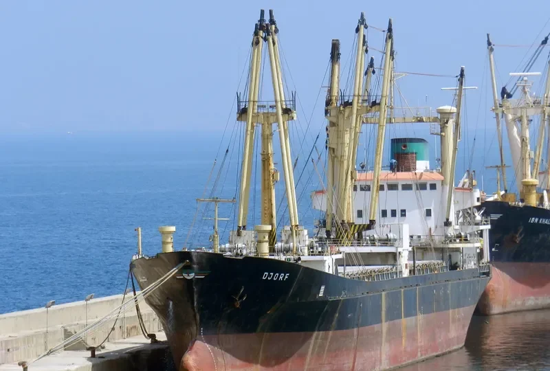 DJORF General Cargo IMO 7420223 photo 3
