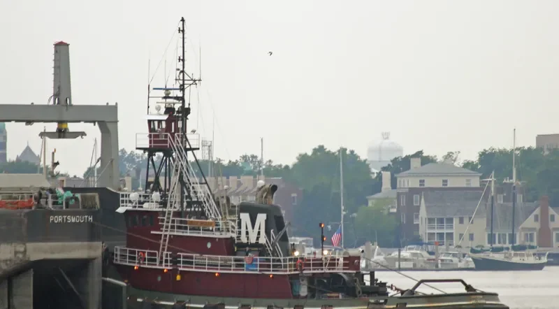 HEIDE MORAN General Cargo IMO 7420390 photo 9