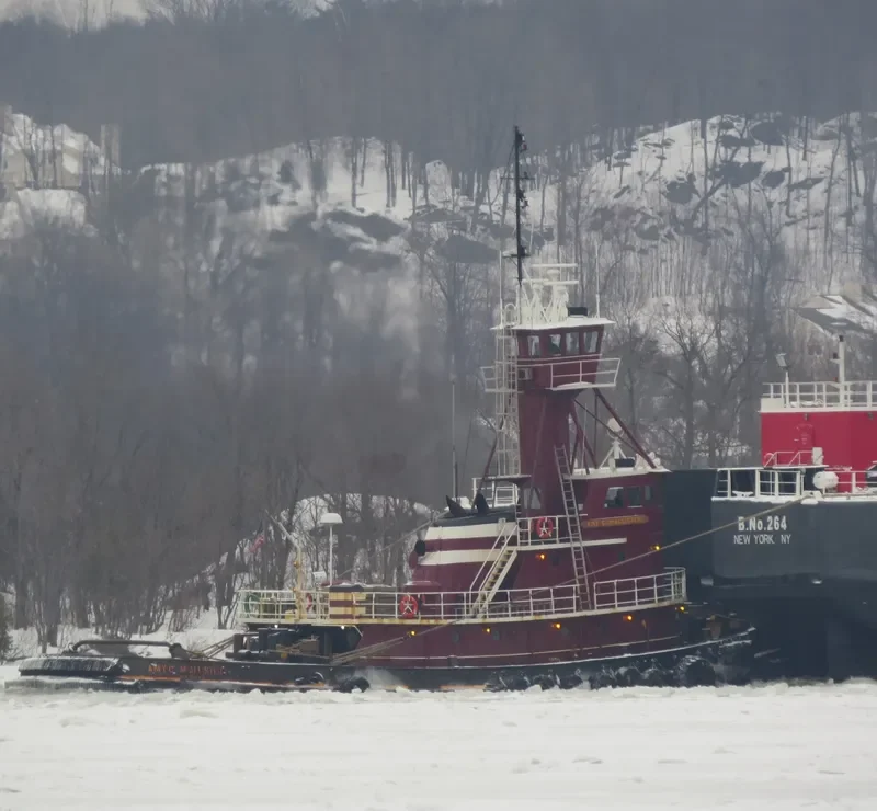 AMY C.MCALLISTER Tug Boat IMO 7420443 photo 10
