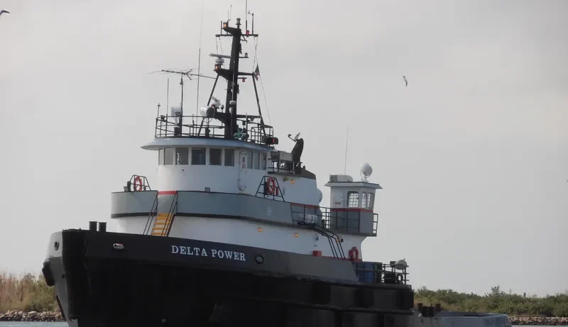 DELTA POWER General Cargo IMO 7420467 photo 2