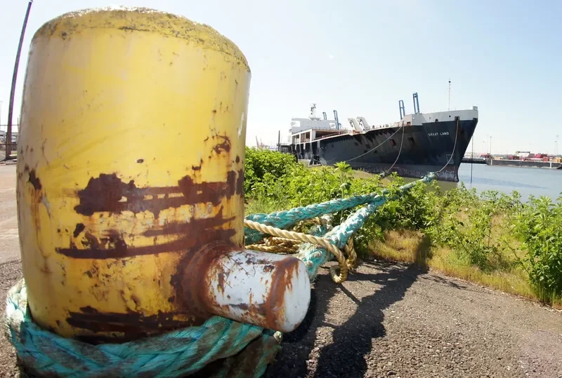 GREAT LAND General Cargo IMO 7420493 photo 4