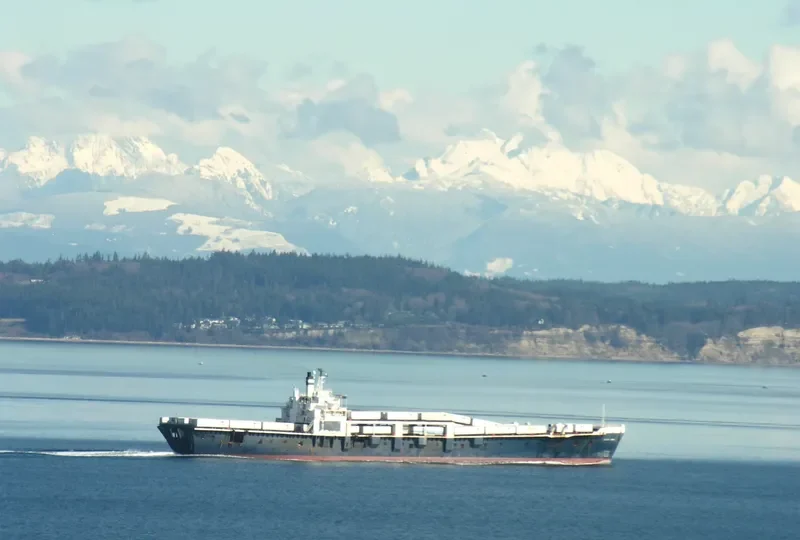 GREAT LAND General Cargo IMO 7420493 photo 5