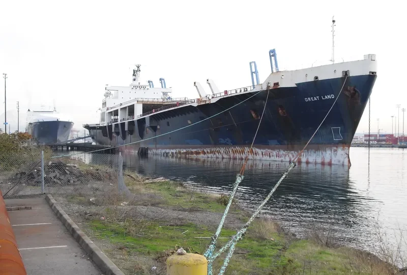 GREAT LAND General Cargo IMO 7420493 photo 10