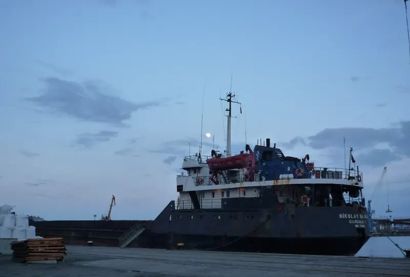NIKOLAY BAUMAN General Cargo IMO 7420675