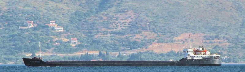 NIKOLAY BAUMAN General Cargo IMO 7420675 photo 3