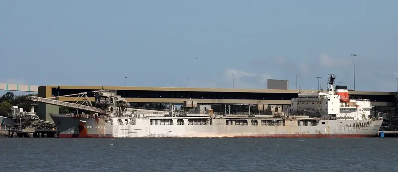 CSL PACIFIC General Cargo IMO 7420716 photo 7