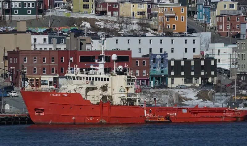 ATLANTIC TERN Offshore Vessel IMO 7420742 photo 6