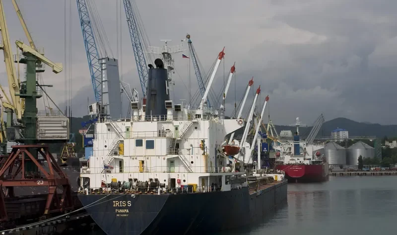 IRIS S Bulk Carrier IMO 7420857 photo 2