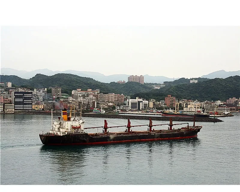 DA SHEN Bulk Carrier IMO 7420869