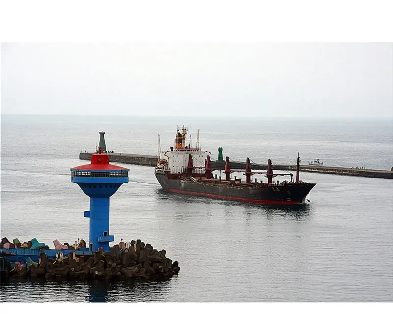 DA SHEN Bulk Carrier IMO 7420869 photo 2