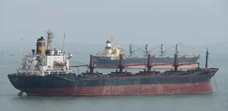 DA SHEN Bulk Carrier IMO 7420869 photo 3