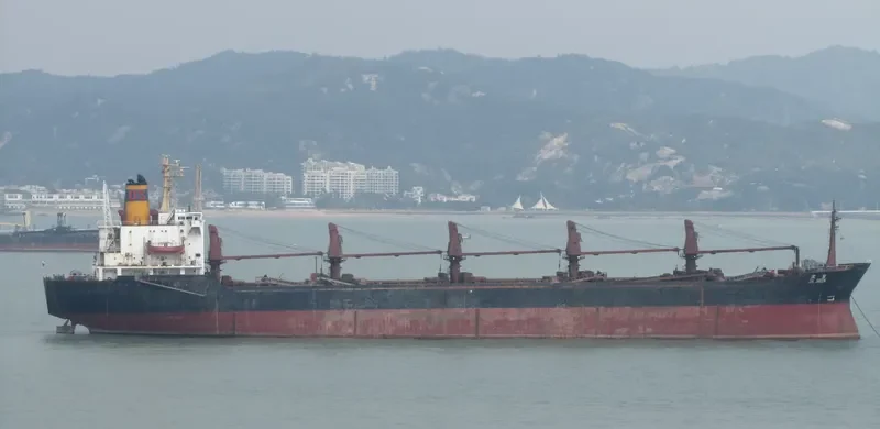 DA SHEN Bulk Carrier IMO 7420869 photo 4