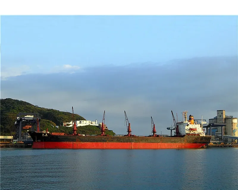 DA SHEN Bulk Carrier IMO 7420869 photo 5
