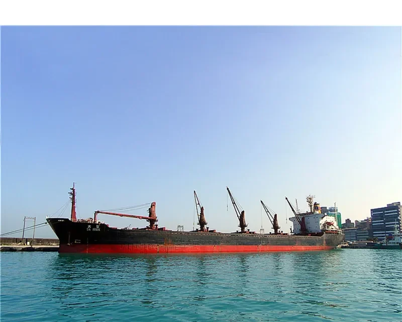 DA SHEN Bulk Carrier IMO 7420869 photo 9