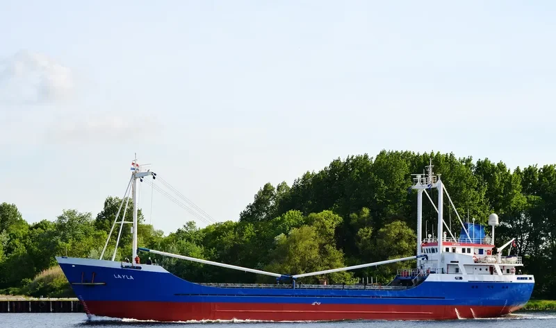 LAYLA General Cargo IMO 7420936 photo 6