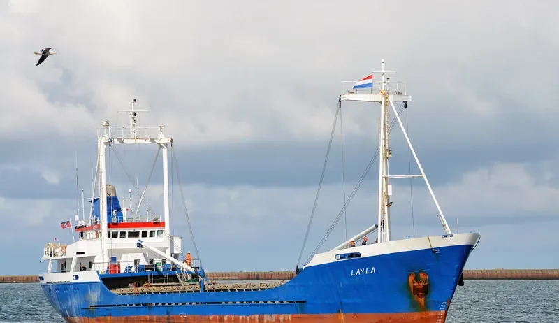 LAYLA General Cargo IMO 7420936 photo 9