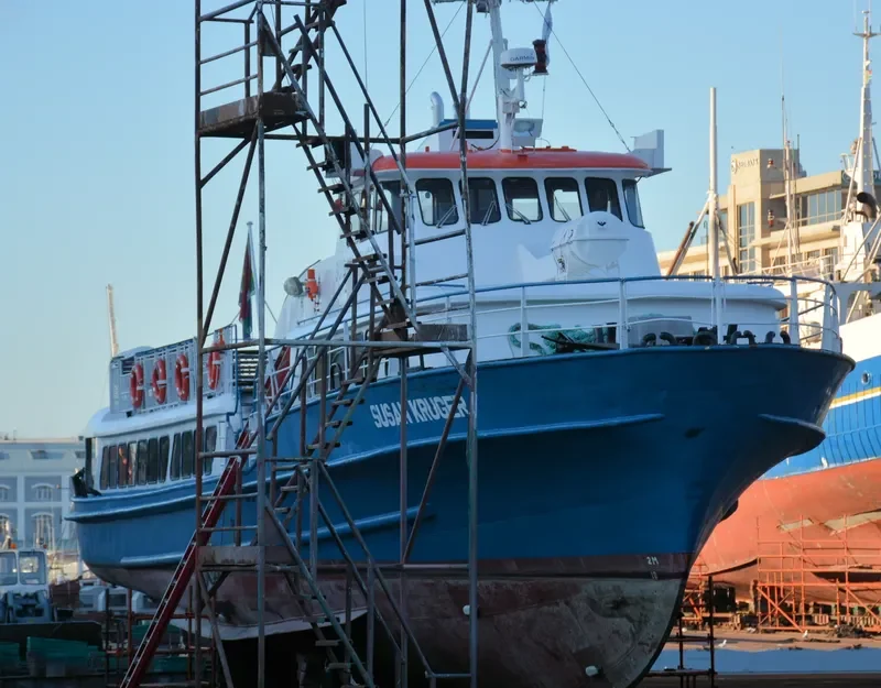 SUSAN KRUGER Passenger Ship IMO 7421045 photo 5