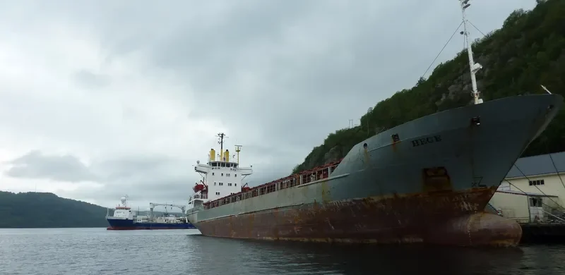 ELYOUSSEF General Cargo IMO 7422049 photo 9