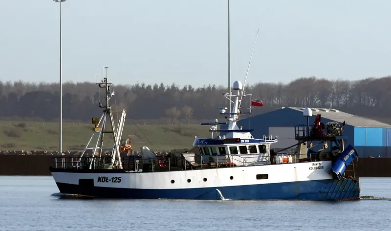 RAVEN General Cargo IMO 7422087