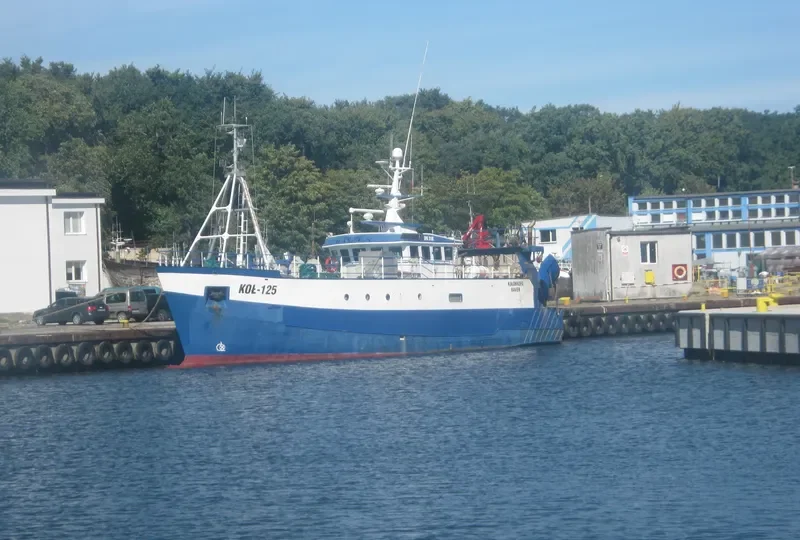 RAVEN General Cargo IMO 7422087 photo 2