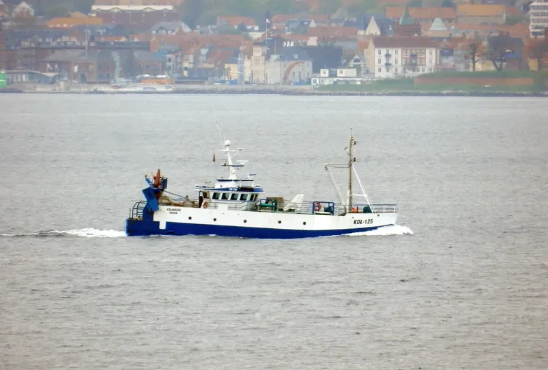 RAVEN General Cargo IMO 7422087 photo 5