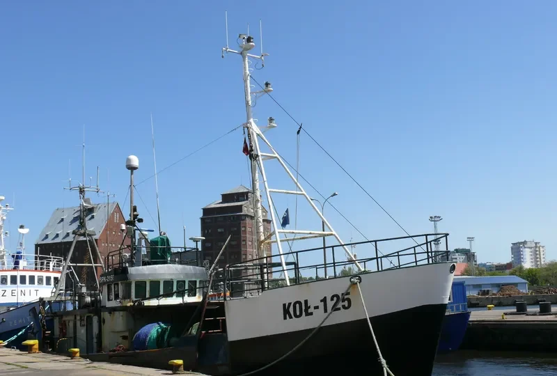RAVEN General Cargo IMO 7422087 photo 8