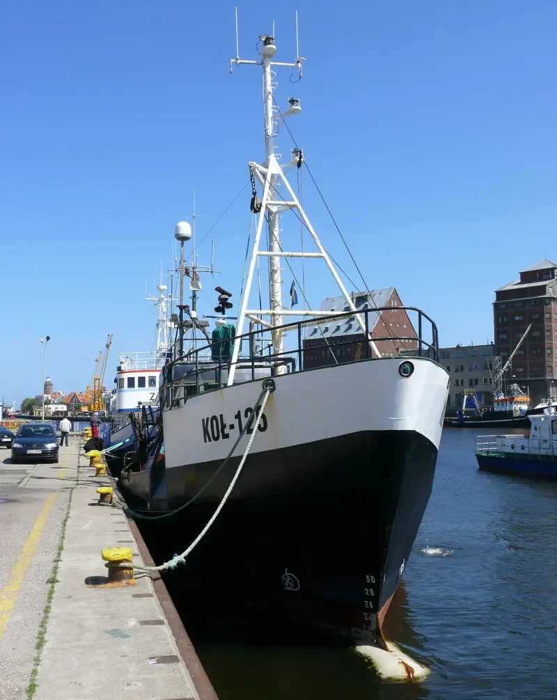 RAVEN General Cargo IMO 7422087 photo 9