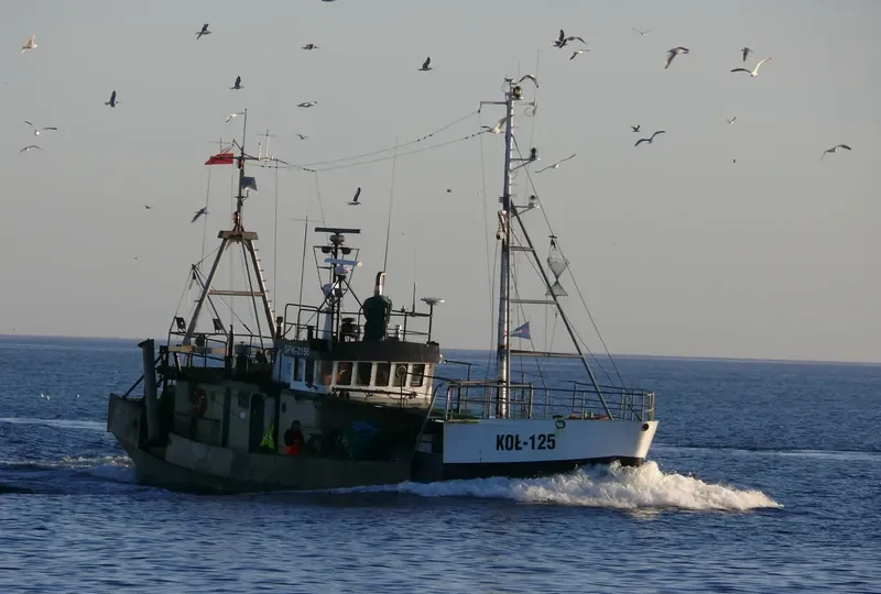 RAVEN General Cargo IMO 7422087 photo 10