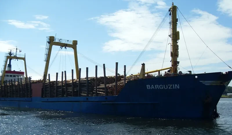 BARGUZIN General Cargo IMO 7422142 photo 8