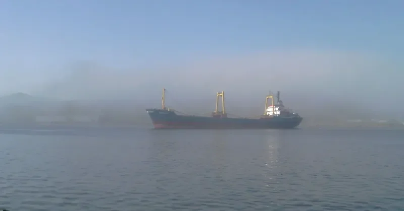 BARGUZIN General Cargo IMO 7422142 photo 10
