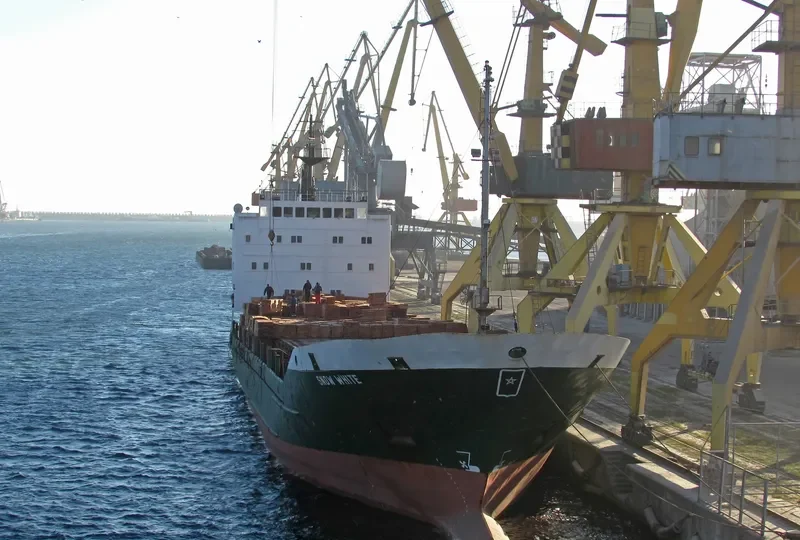 SNOW WHITE General Cargo IMO 7422180 photo 9