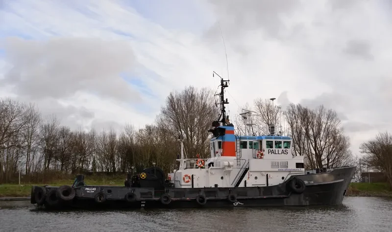 PALLAS General Cargo IMO 7422324 photo 3