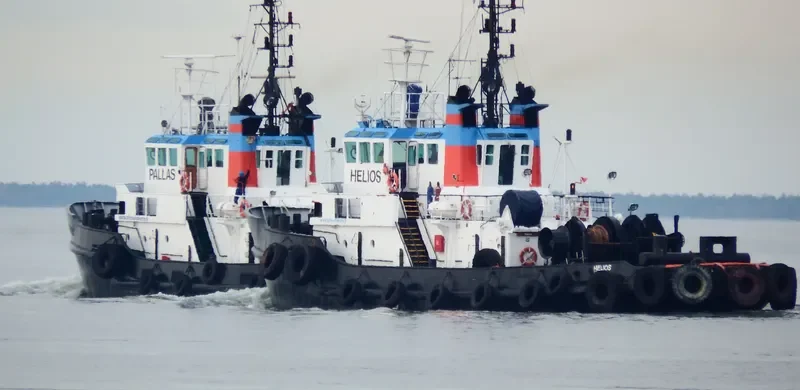 PALLAS General Cargo IMO 7422324 photo 10