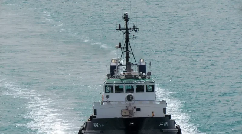 NIMR Tug Boat IMO 7422348 photo 2