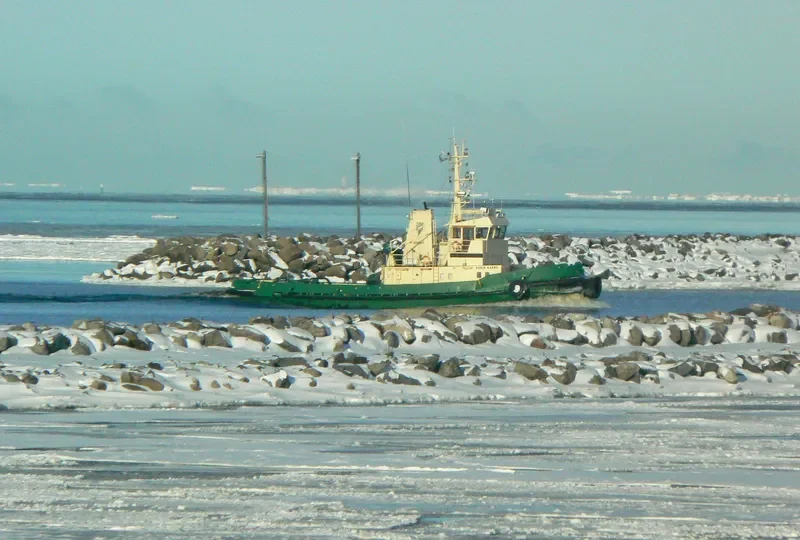 PORIN KARHU Tug Boat IMO 7422386 photo 8