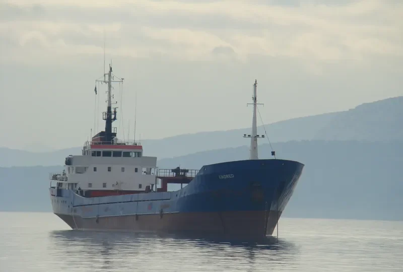 ANAKIN General Cargo IMO 7422544 photo 7