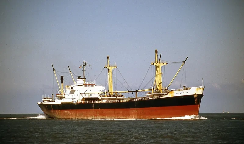 SKUA General Cargo IMO 7422764