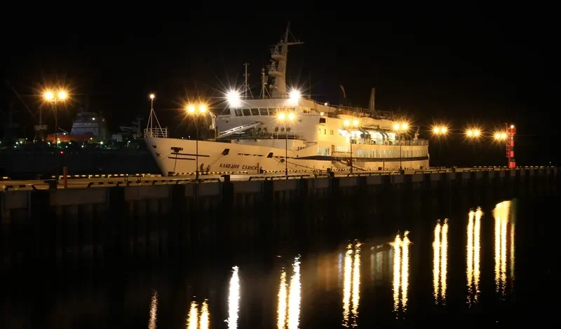 KLAVDIYA YELANSKAYA Passenger Ship IMO 7422922 photo 2
